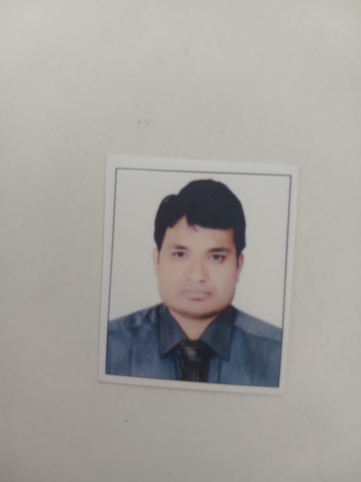 Team Member
